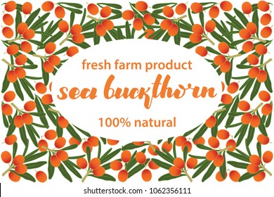 vector illustration of sea buckthorn and leaf design with lettering sea buckthorn background white and berry and text fresh farm product 100% natural for you EPS10
