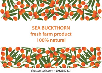 vector illustration of sea buckthorn and leaf design background white and berry and text fresh farm product 100% natural EPS10
