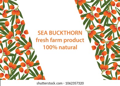 vector illustration of sea buckthorn and leaf design background white and berry and text fresh farm product 100% natural EPS10