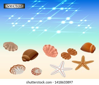 Vector illustration of sea coast or ocean beach by water shells, starfish on sand on a Sunny day