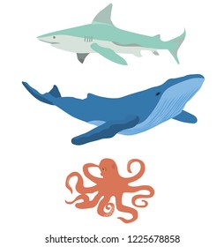 vector illustration of sea creatures, animals. Shark, whale, octopus. 