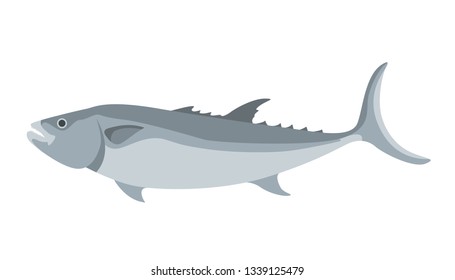 Vector illustration of sea fish, flat style, profile view.