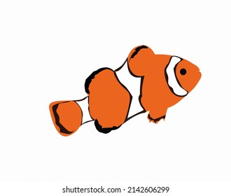 vector illustration of sea fish often in the aquarium in flat style