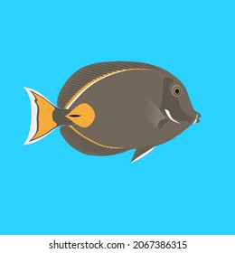 vector illustration of sea fish, river, lake