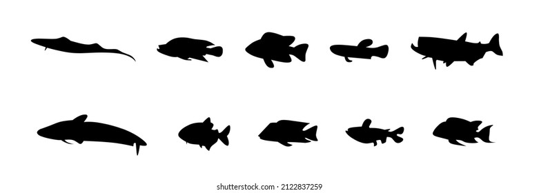 vector illustration, sea fish silhouette icon set