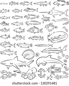 vector illustration of  sea fishes and creatures collection in black and white