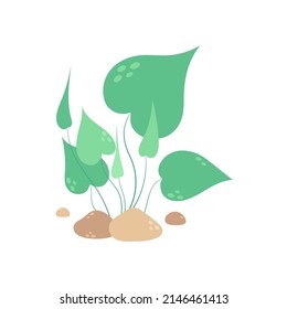 ilustración vectorial con algas de color verde marino aisladas en blanco, diseño sencillo con algas acuárium marinas o decorativas