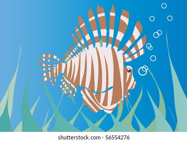 Vector illustration of sea hedgehog under water