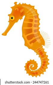 Vector Illustration Of A Sea Horse