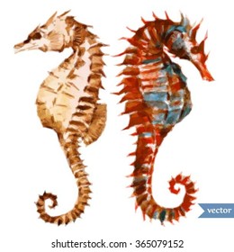 vector illustration of a sea horse, polygons, triangles of illustration, watercolor, isolated object