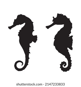 Vector illustration of sea horse silhouette