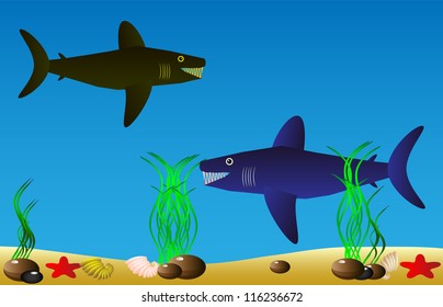 Vector illustration of a sea life .