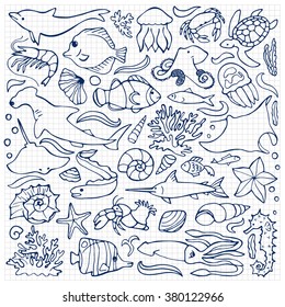 Vector illustration of  sea and ocean hand drawn elements on squared paper