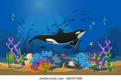 vector illustration of the sea. Orca Whale in the sea with coral and fish