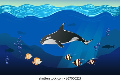 vector illustration of sea. orca whale and fish in the sea. beauty of the sea