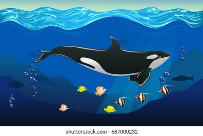 vector illustration of sea. orca whale and fish. beauty of the sea