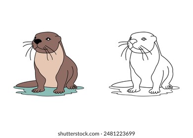 Vector illustration of Sea otter. Otter isolated on white background.