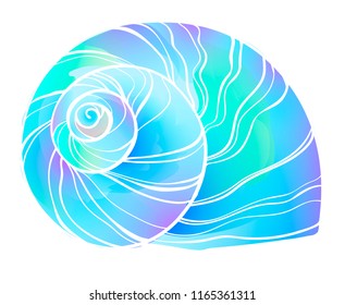 Vector illustration of the sea shell