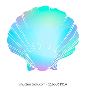 Vector illustration of the sea shell