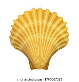 Vector illustration of sea shell