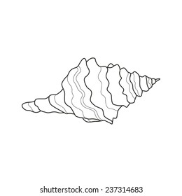 Vector Illustration of a Sea Shell