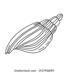 Vector illustration of a sea shell. Contour drawing of a clam shell. Design element