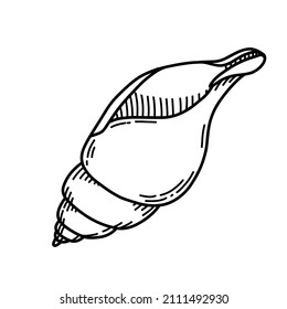 Vector illustration of Sea Shell in line art style. Drawing of Seashell for icon or logo. Sketch of Conch. Black and white colors