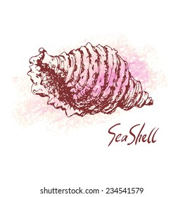 Vector illustration of sea shell on pastel textured spot. Hand drawn vintage sketch. Decorative element or your design isolated on white background. 