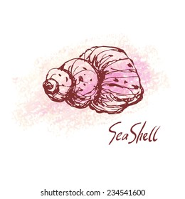 Vector illustration of sea shell on pastel textured spot. Hand drawn vintage sketch. Decorative element or your design isolated on white background. 