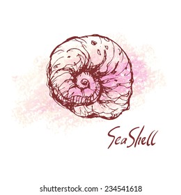 Vector illustration of sea shell on pastel textured spot. Hand drawn vintage sketch. Decorative element or your design isolated on white background. 