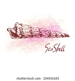 Vector illustration of sea shell on pastel textured spot. Hand drawn vintage sketch. Decorative element or your design isolated on white background. 