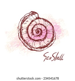 Vector illustration of sea shell on pastel textured spot. Hand drawn vintage sketch. Decorative element or your design isolated on white background. 