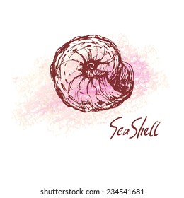 Vector illustration of sea shell on pastel textured spot. Hand drawn vintage sketch. Decorative element or your design isolated on white background. 