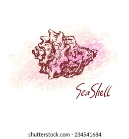 Vector illustration of sea shell on pastel textured spot. Hand drawn vintage sketch. Decorative element or your design isolated on white background. 