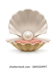 Vector illustration of a sea shell with a pearl inside.