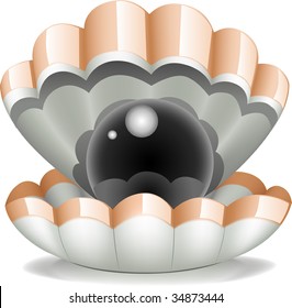 Vector illustration of sea shell whith pearl.