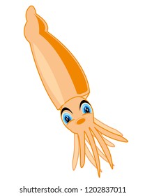 Vector illustration of the sea shellfish squid cartoon