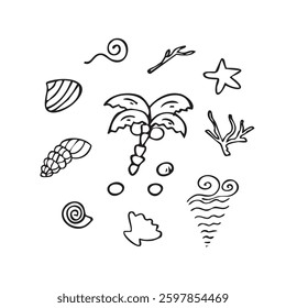 Vector illustration of the sea: shells, seaweed, palm trees, waves