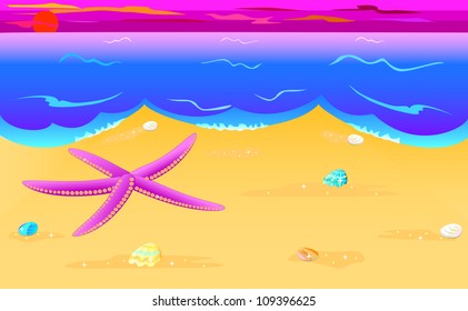 Vector illustration of sea star and seashells on the seacoast