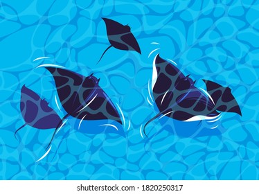 Vector illustration of sea stingrays swimming in the sea, top view