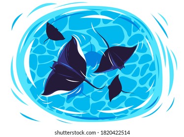 Vector illustration of sea stingrays swimming in a circle in the center of the sea, top view