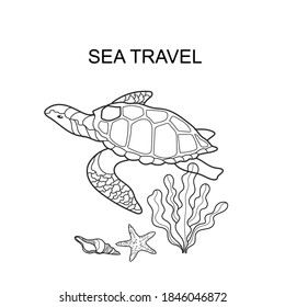 vector illustration sea travel on the white background. Turtle, algae and sea shells on the background of the seabed.