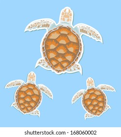 vector illustration of sea turtle