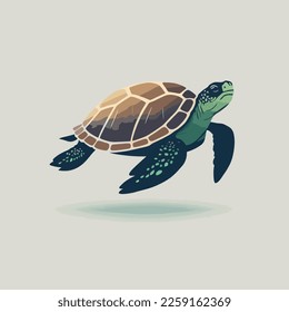 vector illustration of a sea turtle