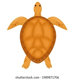 ilustración vectorial de una tortuga marina aislada en un fondo blanco