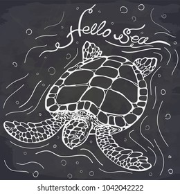 Vector illustration of sea turtle on chalkboard. Lettering Hello sea. Perfect for invitations, greeting cards, postcard, banners, poster for textiles.