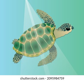 A vector illustration of a sea turtle swimming underwater. The reptile is green with a blue color and he has spots in a dark blue green shade on his head and legs. Added light streaks from above that 