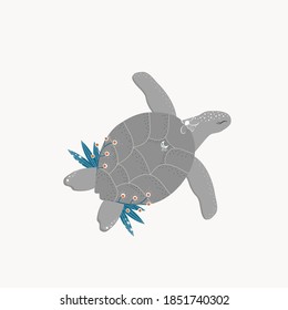 Vector illustration of a sea turtle.Isolated on a white background