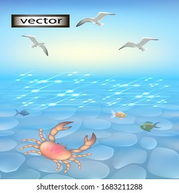Vector illustration of the sea, under the water crabs and fish in the sky flying seagulls