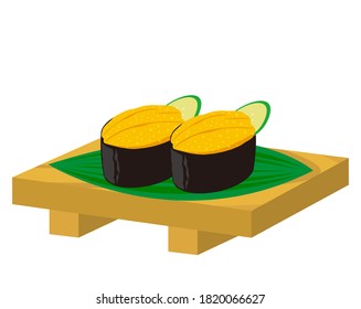 Vector illustration of sea urchin nigiri sushi.